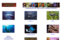 Desktop Screenshot of cogswellphoto.com