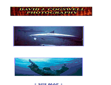 Tablet Screenshot of cogswellphoto.com